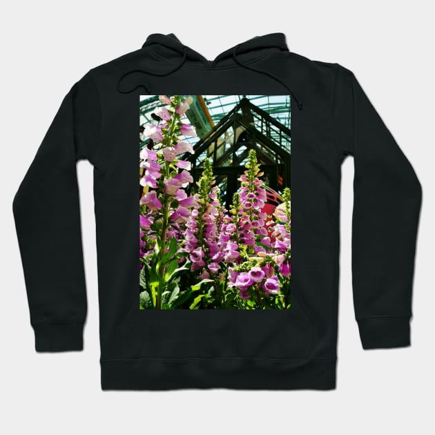 Pink Foxglove Framing a Glass Greenhouse Hoodie by 1Redbublppasswo